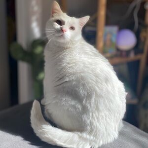 Meet your Posher, Liz